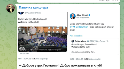 Der Telegram-Kanal verbreitet Inhalte der AfD. Hier zum Beispiel einen Post auf X von Parteichefin Alice Weidel.