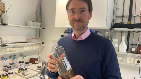 Dem Biologen Stefan Stoll vom Umweltcampus Birkenfeld könnte die neue Falle in Zukunft die Arbeit erleichtern. 
