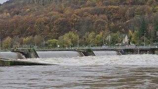 DNA-Test bestätigt: Toter bei Enkirch ist zweifelsfrei Marco Bombarding