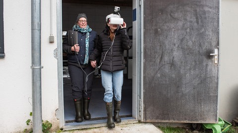 Genau hier stocken die Tiere fast immer. Die VR Brille zeigt Katharina Meutes, warum ihre Tiere Probleme haben.