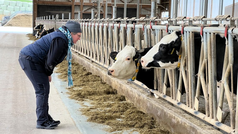Tierärztin Amelie Hansen hat nach ihrer Erfahrung mit der VR Brille neue Erkenntnisse über die Kühe gefunden.