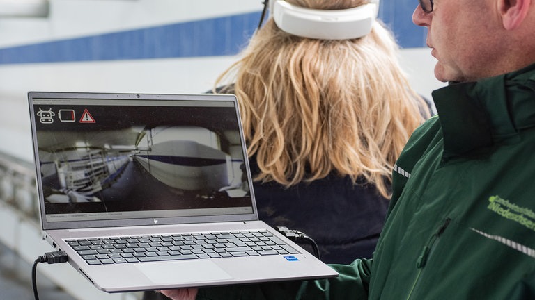 Der Bildschirm zeigt einen Melkstand aus Sicht einer Kuh. Außer der blauen Farbe wirkt alles blass. Obwohl das Sichtfeld riesig erscheint, gibt es nur einen ganz kleinen scharfen Bereich.