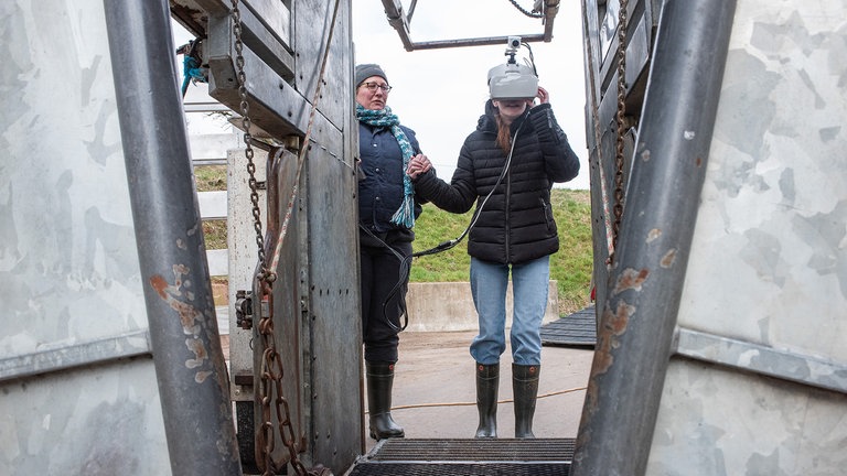 Zweimal im Jahr steht Hufpflege bei den Kühen an. Dafür müssen sie in den sogenannten Klauenstand. „Der Klauenstand war wirklich gruselig“, beschreibt Katharina Mertes ihre Eindrücke. „Ich hätte nicht gedacht, dass es für die Kühe so beängstigend ist.“ 