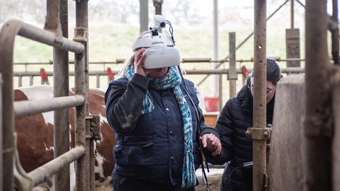 Tierärztin Amelie Hansen sieht mit der VR Brille durch die Augen einer Kuh. Diesen Gang durch das Gitter empfindet sie besonders beklemmend.