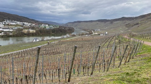 Die Weinlage Badstube liegt zwischen Bernkastel und Graach. Der Wein, der hier wächst, ist international bekannt. 