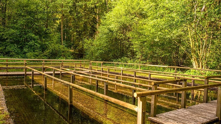 An den heißen Tagen hilft es manchmal, einen kühlen Fuß zu bewahren. Zum Beispiel beim Wassertreten in der Kneipp-Anlage in Beuren im Hochwald. Das Becken wird aus einem Bach gespeist und ist eiskalt. Wer nicht so weit fahren will, kann auch eine der vielen weiteren Kneipp-Anlagen in der Region besuchen, etwa in Kesten an der Mosel, in Malberg in der Eifel oder in Sirzenich. 