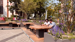 Eine der neuen grünen Pflanzinseln mit Sitzgelegenheiten auf dem Trierer Viehmarktplatz.