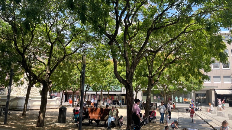 Der Georgsbrunnen am Kornmarkt mit Schattenplätzen und Wasserspielen für Kinder
