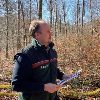 Ein Forstreferendar im Wald.