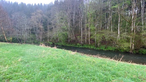 Die Kyll, die jetzt wenig Wasser führt, hat 2021 das gesamte Feld überschwemmt und die Ernte zerstört.