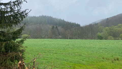 Dieses Feld in Birresborn war nach der Flut übersäht mit Granulat. Ein Landwirt musste es umpflügen, damit seine Milchkühe kein Plastik fressen. 