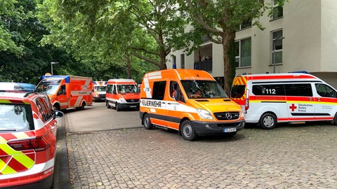 60 Einsatzkräfte der Feuerwehr, Polizei und des Rettungsdienstes sind an der Nelson Mandela Realschule Plus in Trier.