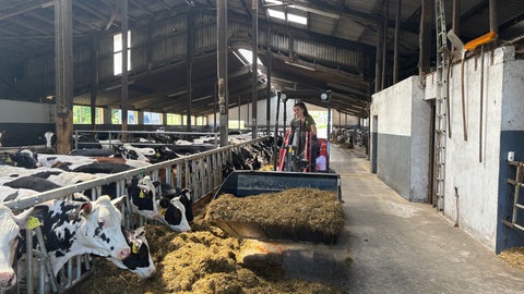 Lea Sensen muss jeden Tag auf dem Bauernhof in der Eifel fast 370 Kühe füttern.