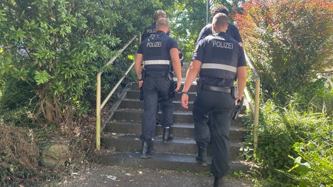In diesem kleinen Park hält sich oft eine Gruppe betrunkener Männer und Frauen auf. Manche Bürger fühlen sich von ihnen belästigt.