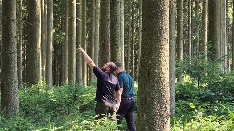 Einst zog er Gemüse in Hannover, heute ist Manuel Schulz mit Revierleiter David Klett im Birresborner Wald unterwegs.