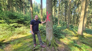 Manuel Schulz hat im Wald von Birresborn seinen Traumjob gefunden.