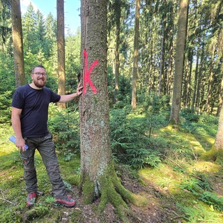Manuel Schulz hat im Wald von Birresborn seinen Traumjob gefunden.