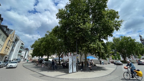 Der Rindertanzplatz in Trier: Derzeit vor allem als Parkplatz genutzt – künftig könnten hier neue Ideen für Stadtgrün und Aufenthaltsqualität entstehen.