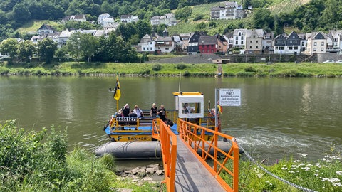 Die Enkircher Fähre ist wesentlich kleiner als das Pündericher Schiff: Sie bietet nur Platz für ein paar Personen und Fahrräder. Die Pündericher Fähre kann auch Autos und Traktoren mitnehmen. 
