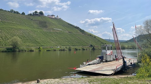 Früher hat die Pündericher Fähre Touristen zur gegenüberliegenden Moselseite mitgenommen. Zum Beispiel zur Marienburg, die über den Weinbergen thront. 