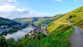 Der geplante Panorama-Höhenradweg Mosel bietet ein völlig neues Rad-Erlebnis mit spektakulären Ausblicken über die Mosel - wie hier bei Zell.