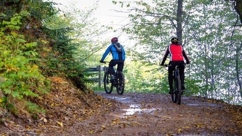 Auch im Gelände zunehmend gefragt: E-Mountainbikes ermöglichen Touren in anspruchsvolleren Lagen. Damit sind auch Strecken abseits der flachen Radwege gut erreichbar.