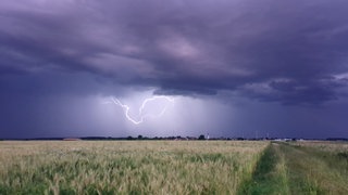 Am Montag soll es in der Region Trier erneut blitzen, donnern und stark regnen. 