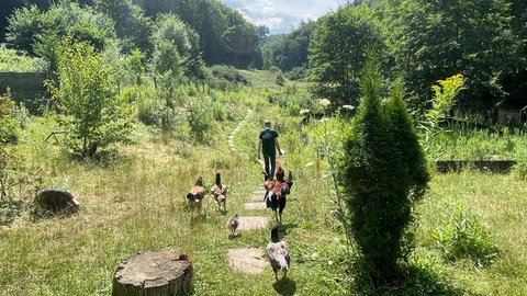 Auffangstation für Wildtiere Saarburg und Wiltingen 
