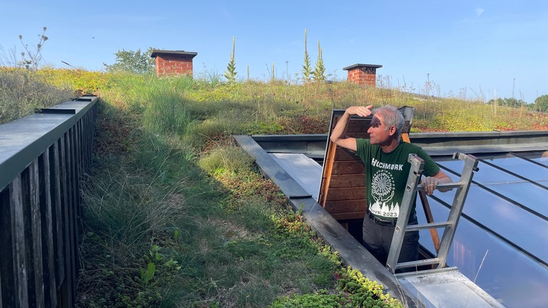 Johannes Hill in Trier hat in Eigenarbeit sein Hausdach aufwändig begrünt.