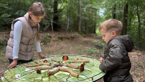 In der Vulkaneifel gibt es künftig einen neuen Erlebnispfad. Dadurch sollen mehr Touristen in Gerolstein und Umgebung gelockt werden.