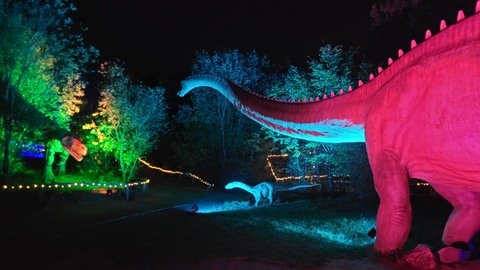 Jurassic Lights im Dinopark in der Teufelsschlucht