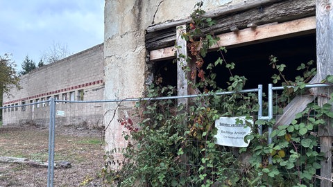 Die frühere Siedlung "Staudenhof" in der Eifel ist nur noch eine Ruine.