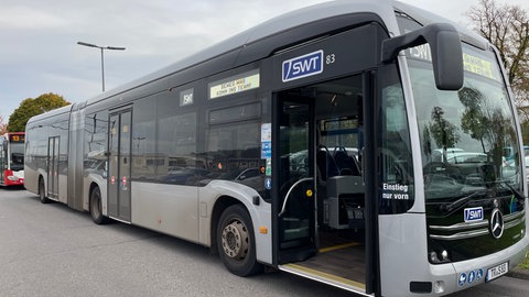 In allen Bussen der SWT-Linien (Stadtwerke Trier) soll das bargeldlose Zahlsystem ab 3. November verfügbar sein.