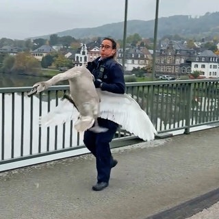 Diese Polizistin fängt auf einer Brücke in Bernkastel Kues einen Schwan. Das Video wird im Netz millionenfach angeklickt.
