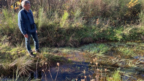 Der Naturschützer Kurt Valerius hält im Naturschutzgebiet auf dem Mesenberg Ausschau nach Feenkrebsen. 