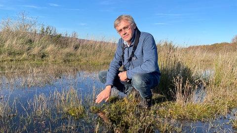 Naturschutz in Deutschland: Können Panzer die seltenen Tiere in Wittlich retten? 