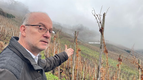 Der Winzer Jürgen Schmitz sieht den Ürziger Würzgarten in Gefahr, wenn das Land für die Flurbereinigung nicht mehr Geld bereitstellt. 
