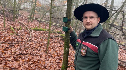 Ein Ranger zeigt auf einen Baum im Nationalpark Hunsrück-Hochwald, an dem zwei Audiorecorder hängen. 