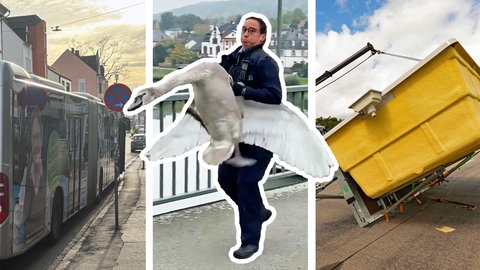 Bildmontage: Skurile Schlagzeilen aus der Region Trier