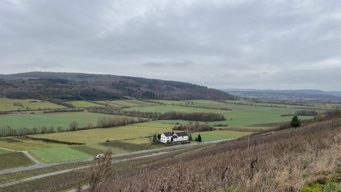 Äcker zwischen Osann-Monzel und Platten. 