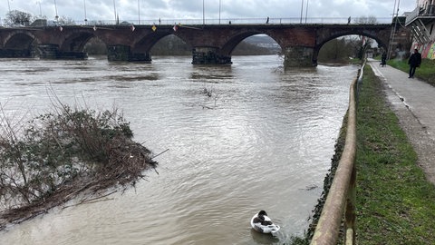 Leichtes Februar-Hochwasser an der Römerbrücke in Trier.