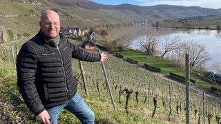 Ein Winzer steht im Weinberg, oberhalb von Piesport an der Mosel. 