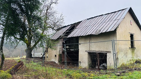 Ein altes Wohnhaus auf dem Staudenhof: Das Gebäude ist über die Jahre zu einer Ruine verkommen.