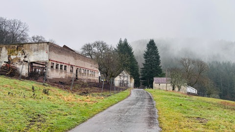 Der Staudenhof in der Eifel ist ein wahrer Lost Place: Viele Gebäude sind verfallen.