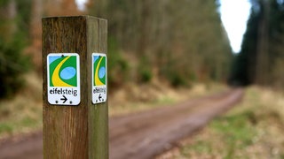 Wandern in der Eifel: Urlaub am Eifelsteig ist ein Erlebnis für Outdoor Fans