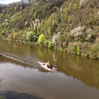 Kurz hinter Kanzem schippert ein historisches Floß über die Saar. 