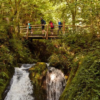 Wandern in Eifel, Hunsrück und an der Mosel. Für Outdoor-Fans gibt es entlang der Wandersteige viel Natur, tolle Ausblicke und viel Ruhe.