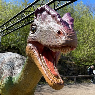 Die Nachbildung eines Dinosauriers, dessen Reste in der Südeifel entdeckt wurden. Damit wurde erstmals ein Dinosaurier in Rheinland-Pfalz ein Dino nachgewiesen.