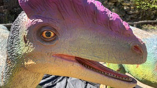 Die Nachbildung eines Dinosauriers, dessen Reste in der Südeifel entdeckt wurden. Damit wurde erstmals ein Dinosaurier in Rheinland-Pfalz ein Dino nachgewiesen.