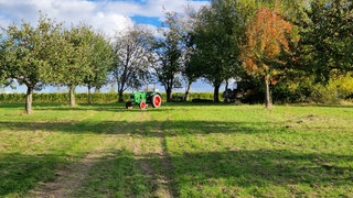 Die Streuobstwiese in Thörnich an der Mosel in ihrer vollen Pracht. 